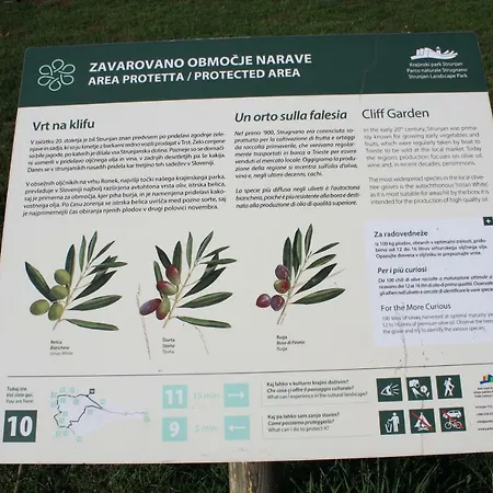 Lejlighed Sandi Izola