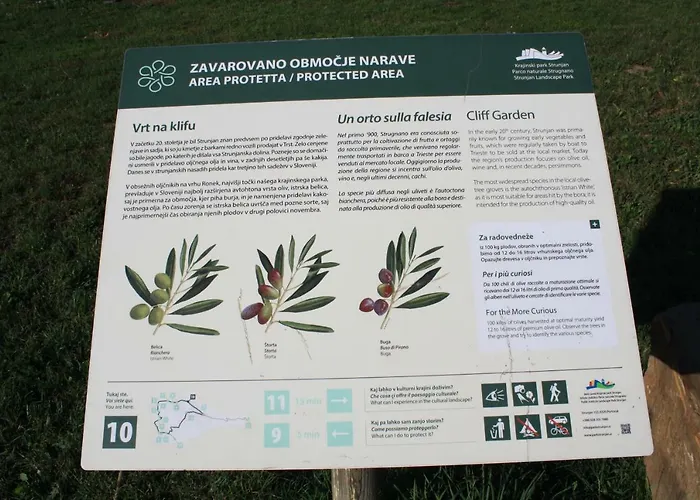 Apartment Sandi Izola