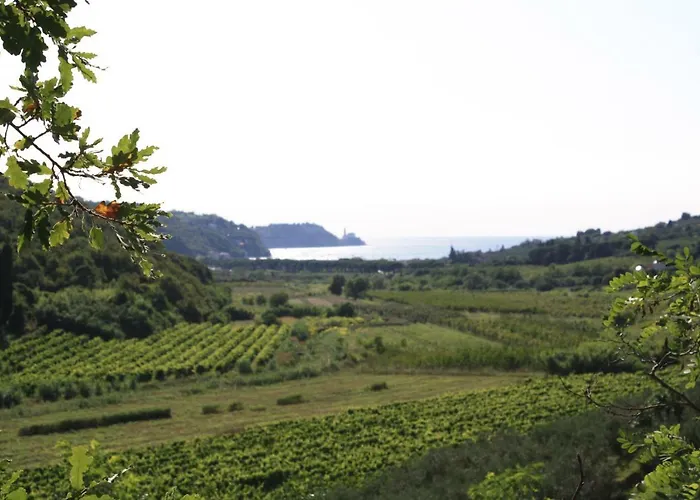 Sandi Apartment Izola